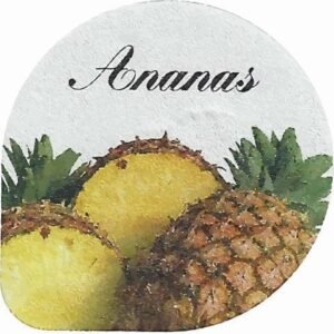 Opercule Ananas