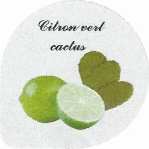 Opercule citron vert cactus