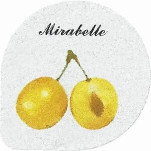Opercule mirabelle